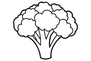 Broccoli Vegetable Vector Illustration on White Background

