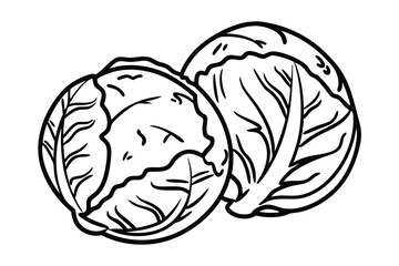 Brussels Sprouts Vegetable Vector Illustration on White Background

