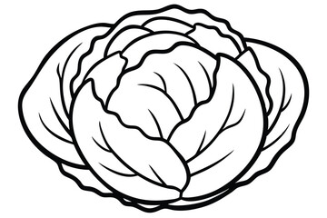 Brussels Sprouts Vegetable Vector Illustration on White Background

