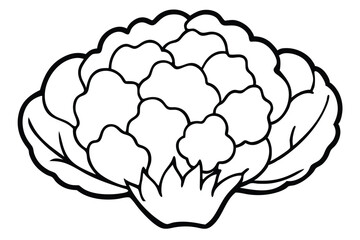Cauliflower Vegetable Vector Illustration on White Background

