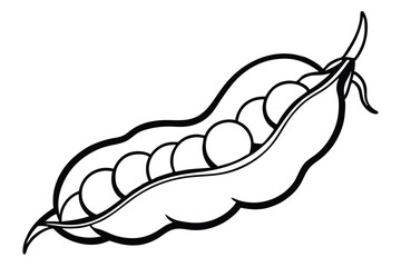 Fava Beans Vegetable Vector Illustration Isolated on White Background

