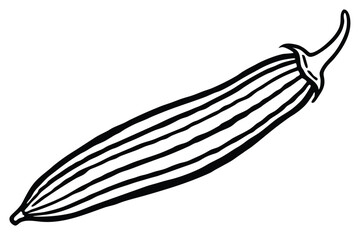 Okra Vegetable Vector Illustration Isolated on White Background

