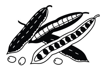 Pigeon Peas Vegetable Vector Illustration Isolated on White Background

