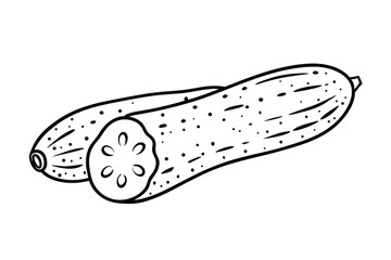 Sponge Gourd Vegetable Vector Illustration Isolated on White Background

