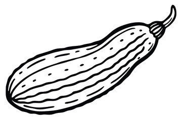 Sponge Gourd Vegetable Vector Illustration Isolated on White Background

