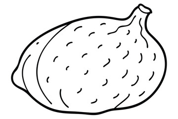 Taro Vegetable Vector Illustration Isolated on White Background

