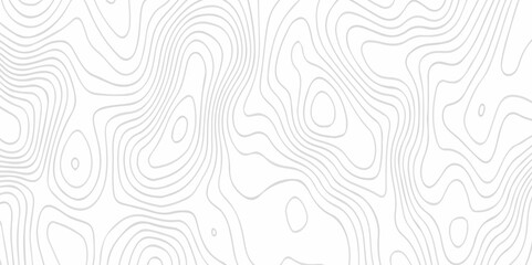 Fototapeta premium Abstract background vector. Abstract topographic contours map background. Abstract white pattern topography vector background. Black and white topography contour line map isolated on white background.