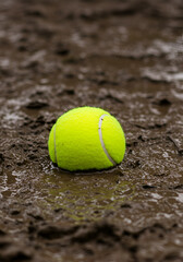 Tennis ball in muddy puddle (1)