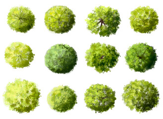Vertor set of green tree,plants top view for landscape plan,schematic layout,eco environment concept design,watercolor greenery illustration