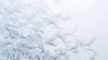 Frost Patterns: Intricate frost patterns spreading across a white background, with delicate ice crystals forming unique shapes.
