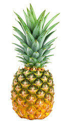 Fototapeta premium pineapple isolated on transparent background, png