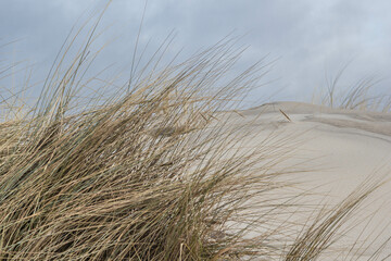 wydmy,Hel,Bałtyk © Izabela