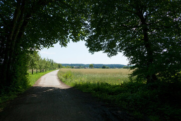 Hiking trail from Schaftlarn to Andechs, Munich Way of St. James, Bavaria, Germany