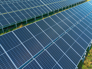 Rows of solar panels generating renewable energy outdoors