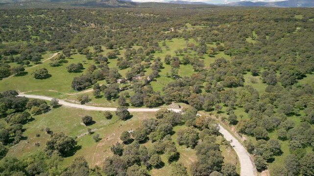 Flying By A Road At A Natural Park In Madrid
