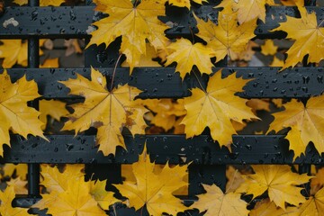 Yellow leaves scattered on a dark surface, creating a textured pattern.
