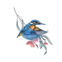 Flying kingfisher bird with eucalyptus twig decor background watercolor illustration. Common kingfisher in flight against the backdrop of blooming tree branch. Wildlife nature scene of flying bird
