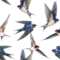 Flying swallow birds seamless pattern element. Watercolor illustration. Cute barn swallow various poses with spread wings on white background. Wildlife flying martin birds vintage style decoration © anitapol