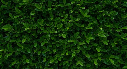 Obraz premium Lush Green Foliage Background Texture Perfect for Nature Designs and Projects