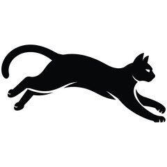 silhouette of a cat