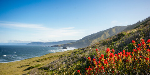 Coastal scenery with spring flowers by the Pacific Ocean, near Westport Union Landing, California, United States