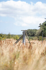 Old Wooden Fence Post in a Wild Meadow on a Sunny Day