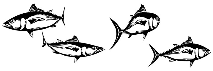 vector illustration of fish for a world tuna day