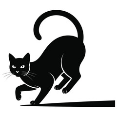black cat on a white background