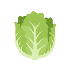 Cabbage icon for healthy food blogs, gardening apps, and vegetarian recipe platforms