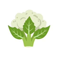 Cauliflower icon for recipe websites, food delivery apps, and healthy lifestyle content
