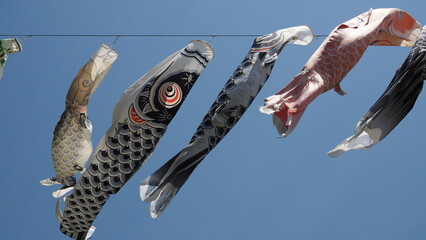 carp streamer