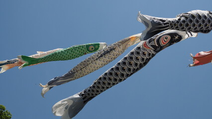 carp streamer