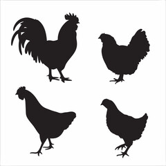 Elegant Rooster and Hens Silhouettes Bold Black Shapes Against White Simple Farm Animal Vector Art Illustration