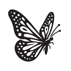 Butterfly and Moth Silhouette vector