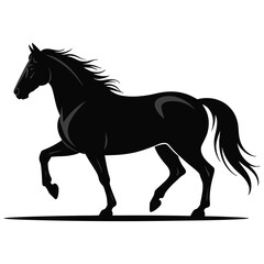 horse vector illustration