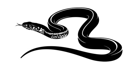 snake vector illustration on white background 1