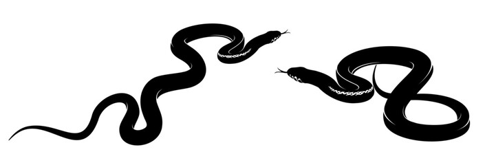 snake vector illustration on white background 8