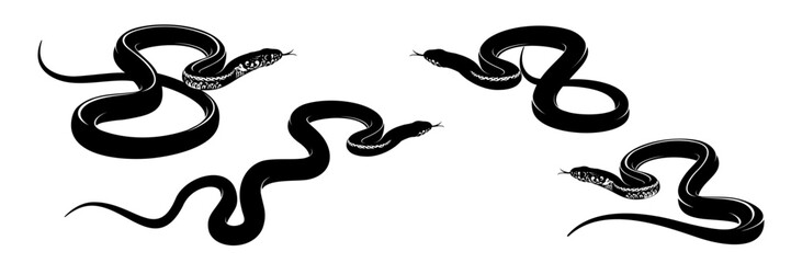 collection of snake vector illustrations