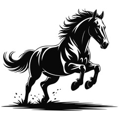 horse vector illustration