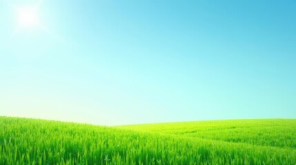 Obraz premium Serene Landscape Vibrant Green Field Under a Clear Blue Sky with Bright Sunshine
