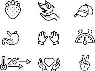Miscellaneous Symbol Icons

