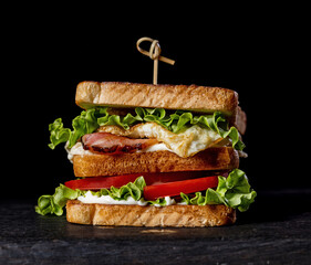 club sandwich on black background