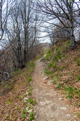 A winding dirt path surrounded by leafless trees on a hillside, leading toward distant mountains under a cloudy sky in early spring. Ideal for outdoor and hiking themes.