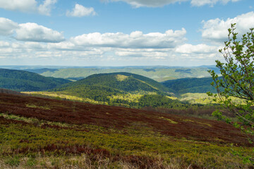 Fototapeta premium Stunning panoramic view of the Bieszczady Mountains under a blue sky, showcasing lush green hills and vibrant vegetation. Ideal for travel and nature themes.