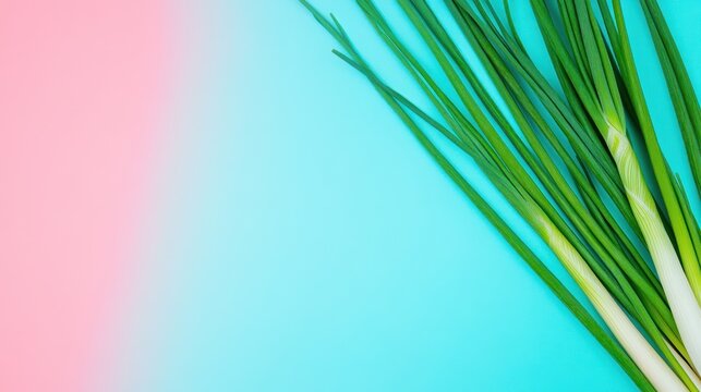 Fresh green onions on pastel background. Food blog, recipe