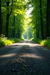 Obraz premium Sunlit Pathway Through Lush Green Canopy of Trees on a Quiet Road