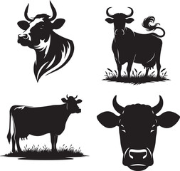 black and white cows