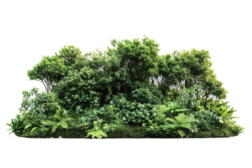 Fototapeta premium Lush Green Foliage Landscape: Perfect for Photo Manipulation and Digital Art Projects. Ideal for on transparent background
