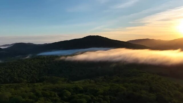 Aerial view of sunrise in the misty forest. Foggy golden sunset in mountains. Flying over green trees valley. Morning mist, country fields, sun rising above the horizon. Scenic nature landscape