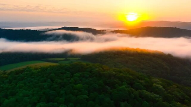Aerial view of sunrise in the misty forest. Foggy golden sunset in mountains. Flying over green trees valley. Morning mist, country fields, sun rising above the horizon. Scenic nature landscape